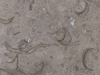 رخام نيلو غراي