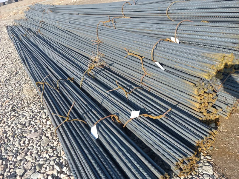 محلزن أقطار كبيرة