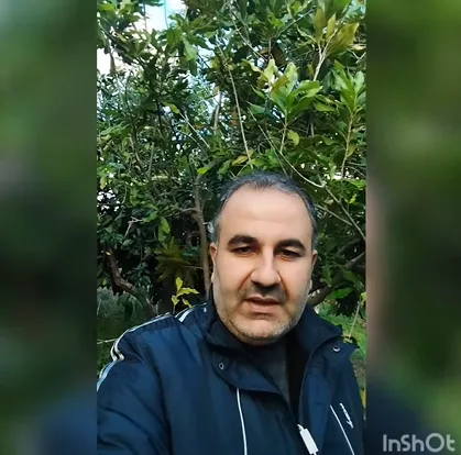 المكاديميا