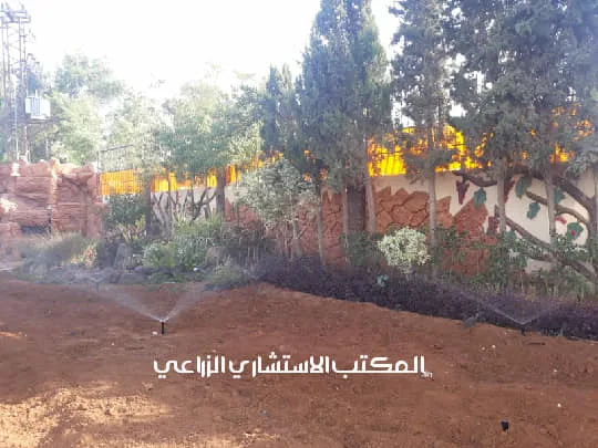المراحل الأولى من تمديد شبكات الري والتنسيقات الأساسية لأحد المشاريع