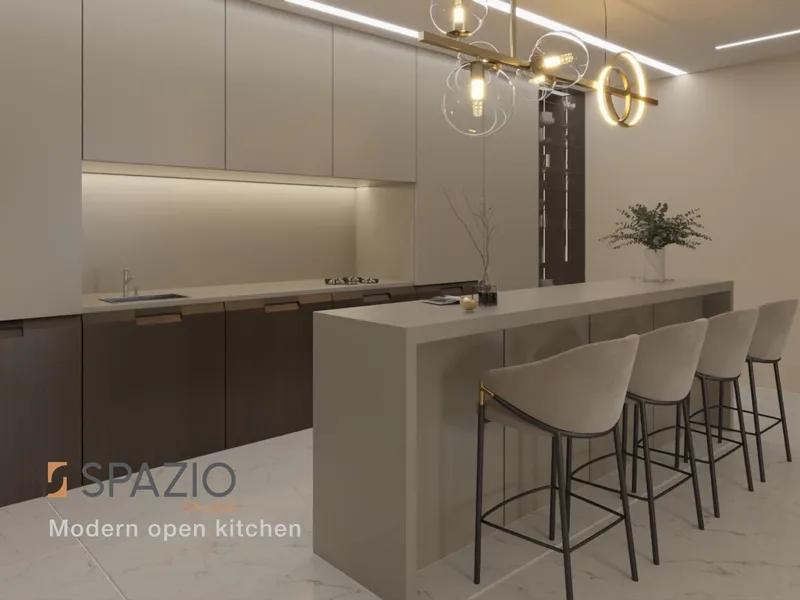 Modern open kitchen