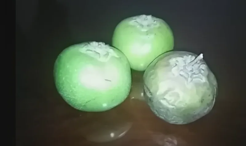 الشوكولا
