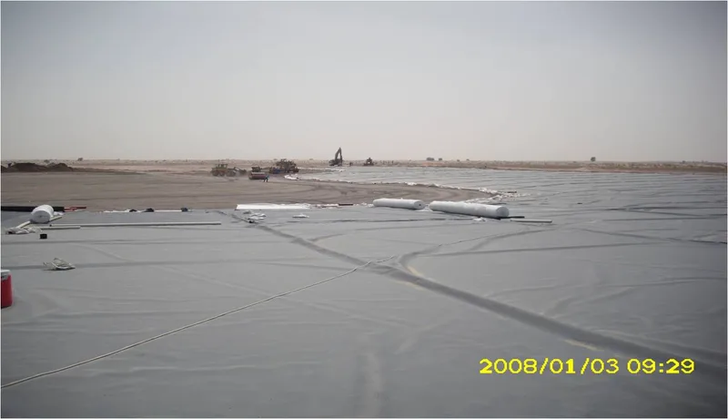 بلدية دبي