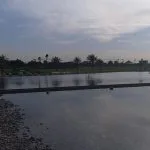 بحيرة القرآن الكريم - أبو ظبي