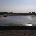 بركة معالجة مياه الصرف الصحي في عجمان