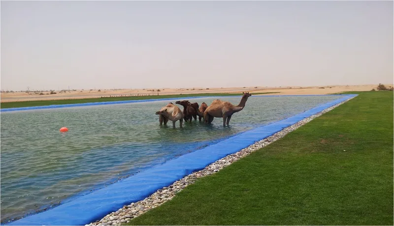 البحيرة-العين